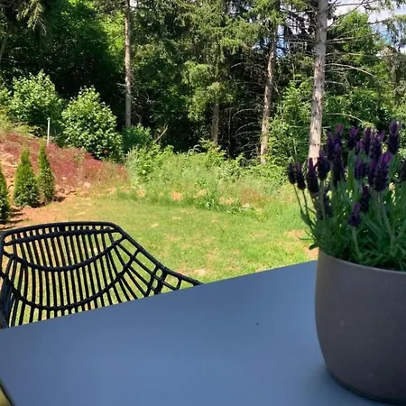Daire Am Sommerberg By Interhome Donaueschingen